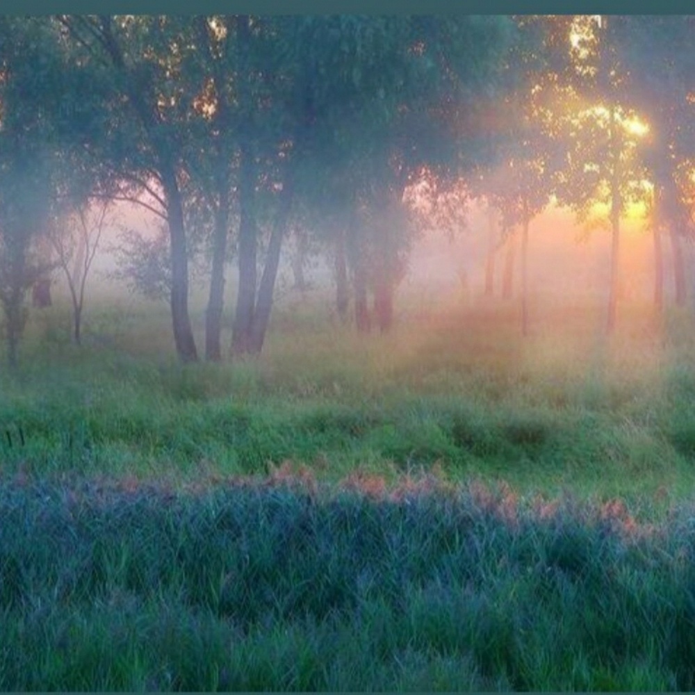 Meet your Posher, Angeleise